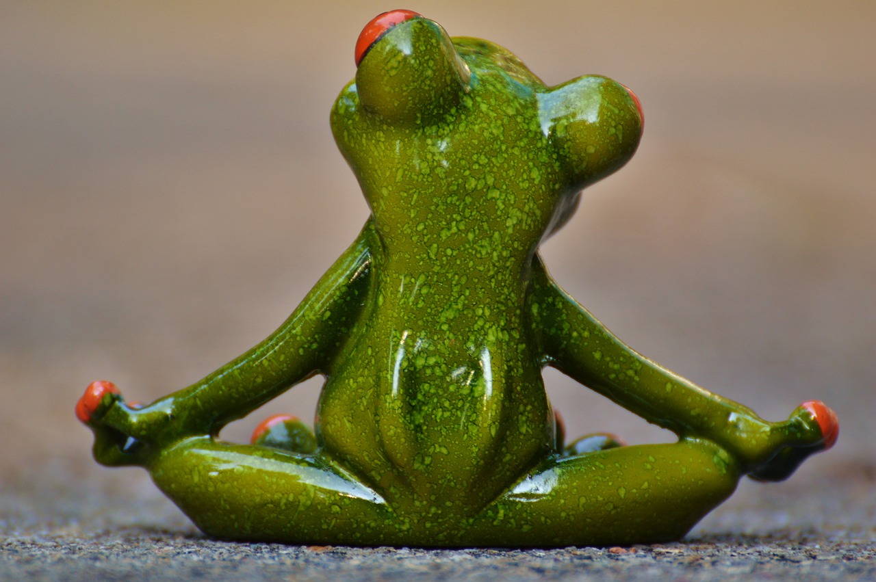 Best Yoga Apps for Beginners and Experts: Transform Your Practice
