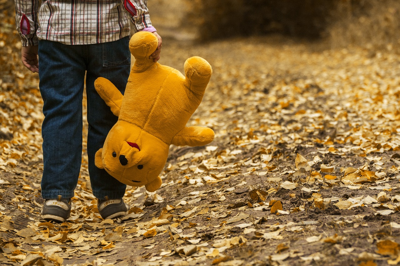 Fictional Bears