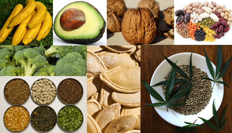 Protein Rich Foods For Vegetarians And Non-Vegetarians