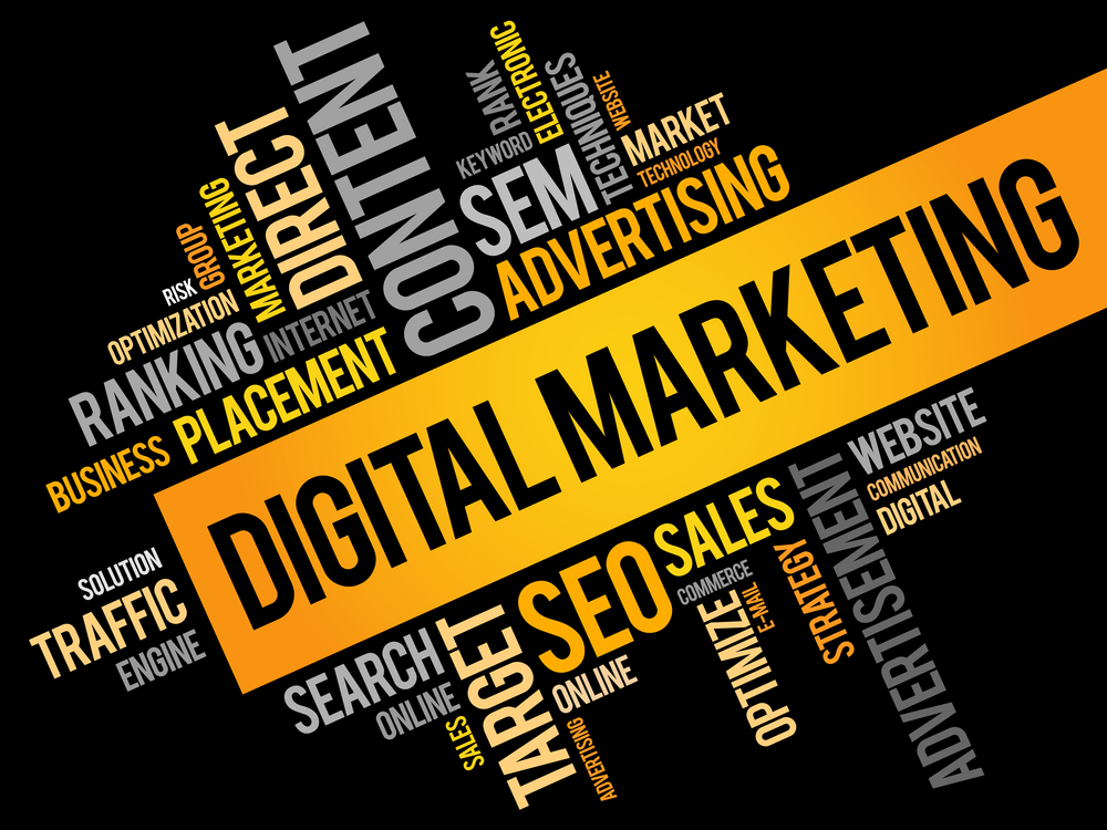 SEO Agency