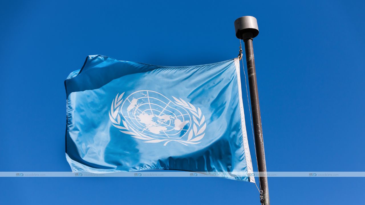 What is the UNESCO Center for Peace NYS?