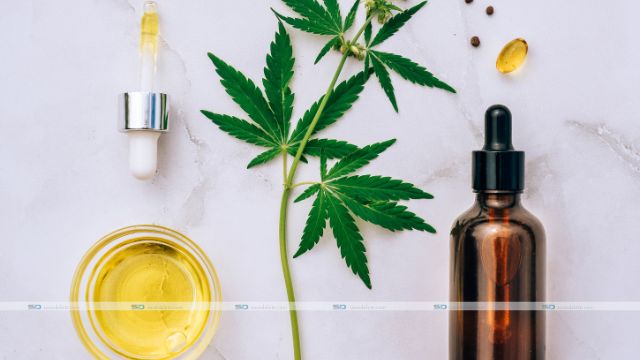 CBD Flower vs Marijuana