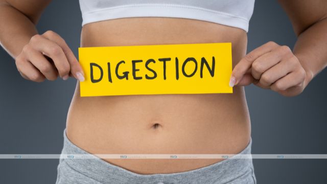 Improve Your Digestion