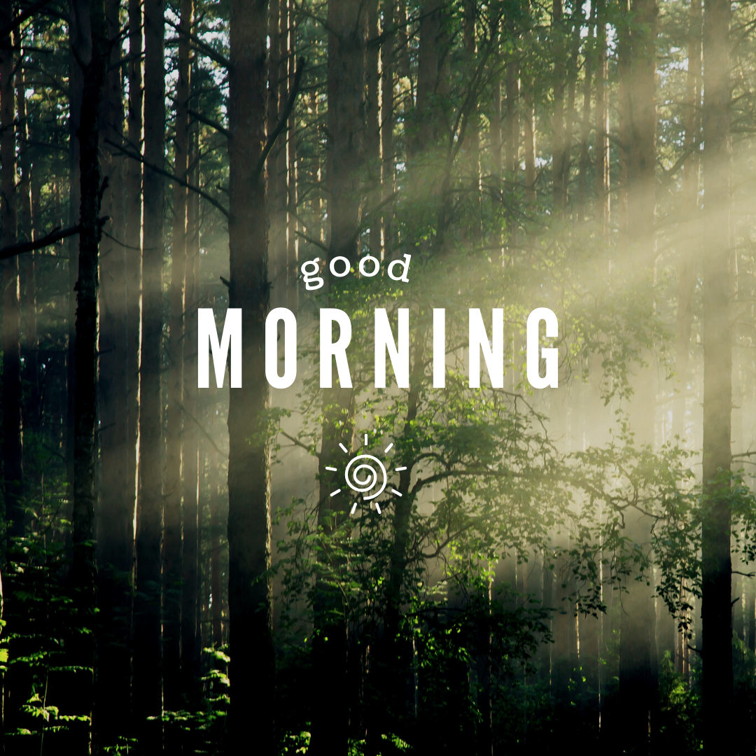 Good Morning, Nature at it’s best