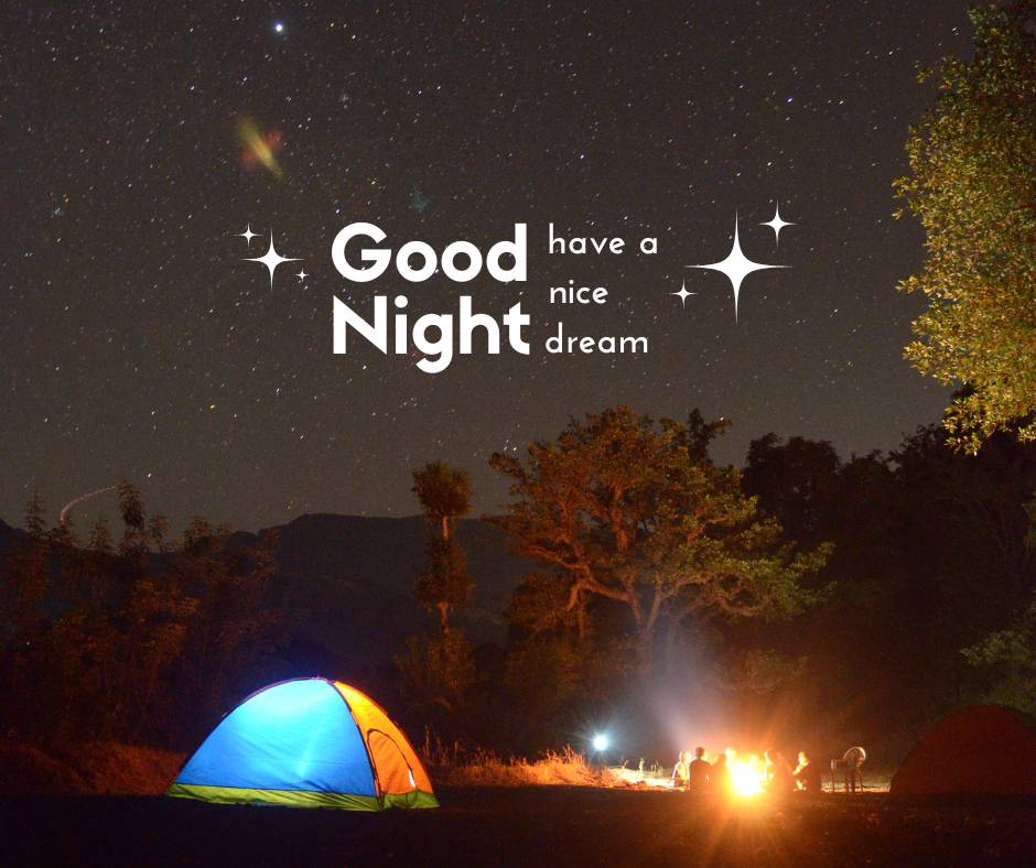 Good Night, under the starry sky