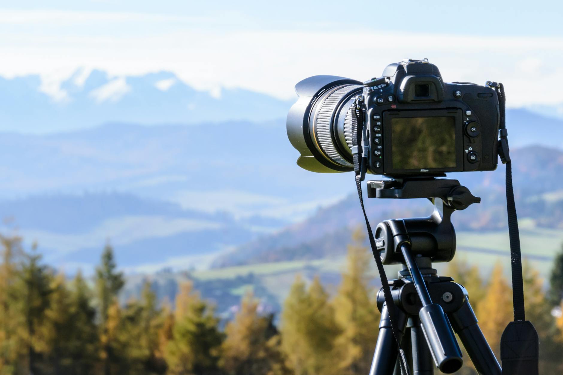 Best Digital Cameras for 2024