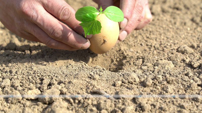 Farming's Evolution