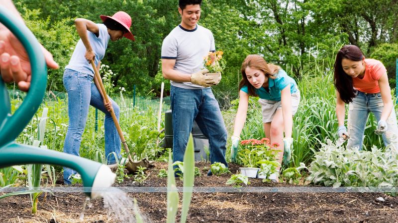 Community Gardening