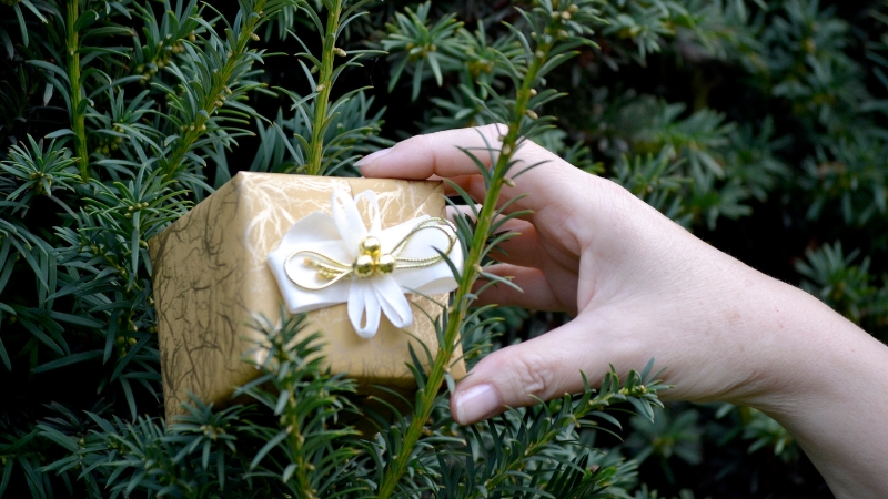 Treat Yourself Right: 5 Amazon Must-Haves for Your Own Stocking in 2024!