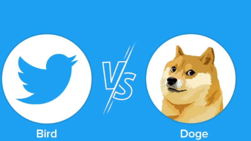 Doge-mania on Twitter: The Untold Story You Need to Know!