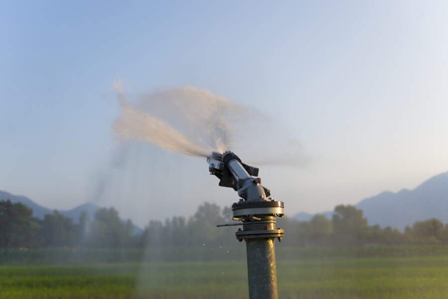 Understanding The Sprinkler System Components For Repair