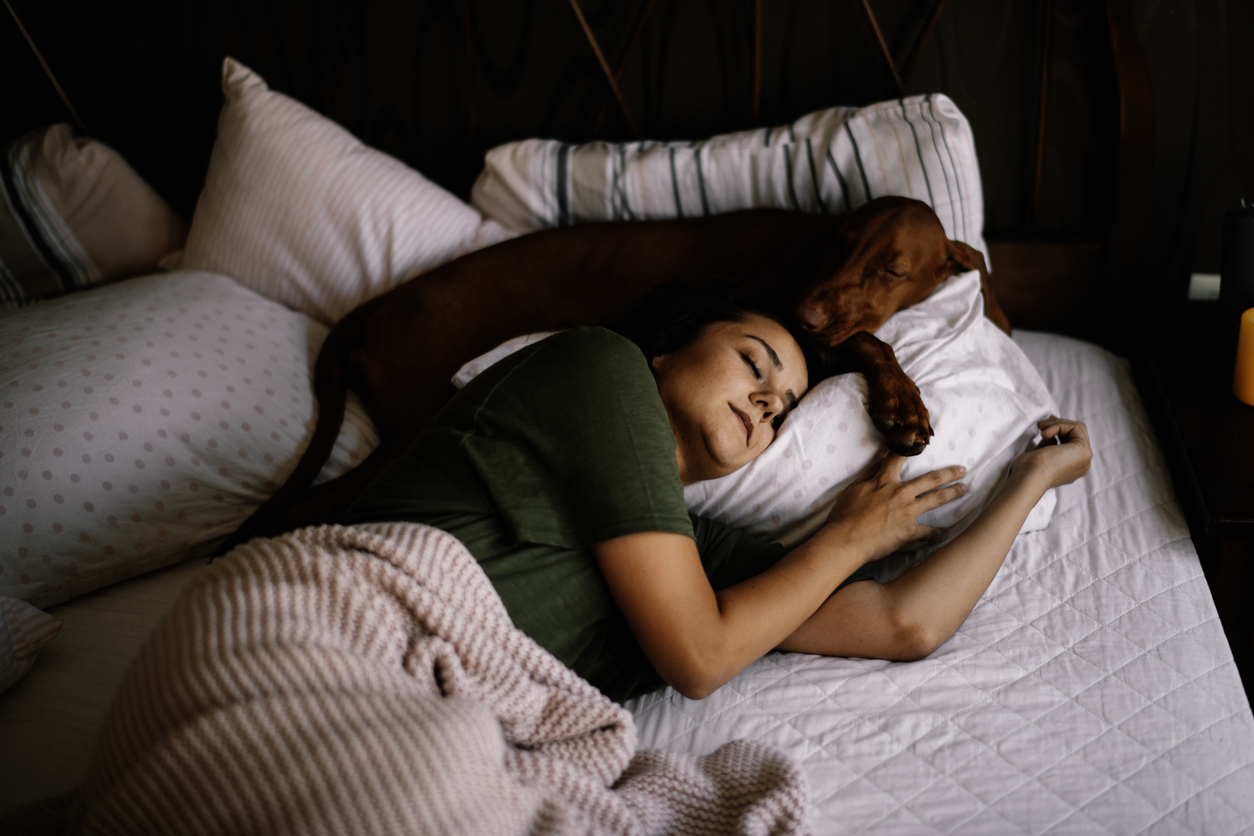 PuroAir Review: Why Pet Owners Are Choosing This Air Purifier Over the Rest