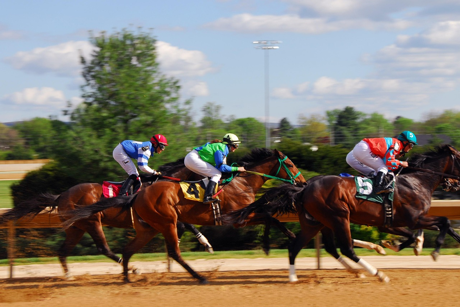 Guide to Betting on the Preakness Stakes