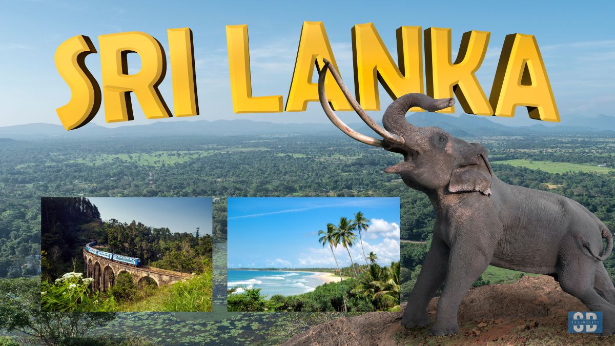 Best Tour Packages in Sri Lanka for Nature &#038; Culture Lovers